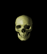ZB 00 - 0006